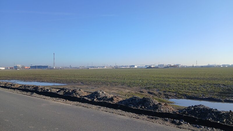 Domnesti,strada Narciselor